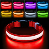 PcEoTllar light-up collar color-changing lights boost night visibility for safe evening walks.