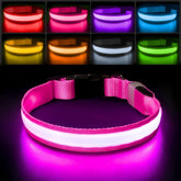PcEoTllar light-up dog collar front view enhances nighttime visibility