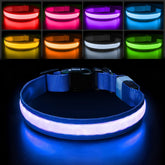 PcEoTllar light up dog collar full color display enhances visibility at night