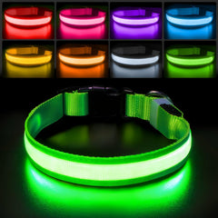 PcEoTllar light-up dog collar glowing at night for safer night walks