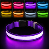 PcEoTllar purple S light up dog collar front view for night walks