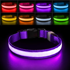 PcEoTllar purple S light up dog collar front view for night walks