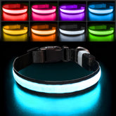 PcEoTllar light up rainbow collar for night walks enhances visibility