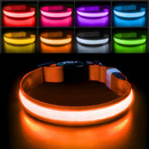 PcEoTllar RGB LED light-up dog collar provides enhanced night visibility.