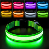PcEoTllar light-up dog collar with RGB LEDs for safer night walks