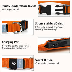 PcEoTllar rechargeable waterproof LED collar for swimming and outdoor play.