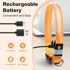 PcEoTllar waterproof rechargeable collar stays bright during swimming.