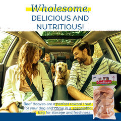 PCI Dog chew beef hooves close-up, delivering protein-rich, low-fat snack.