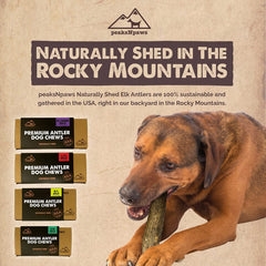 peaksNpaws elk antler split displayed with natural color variety.