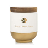 Pearhead pet urn front view with gold paw print, a timeless memory keepsake