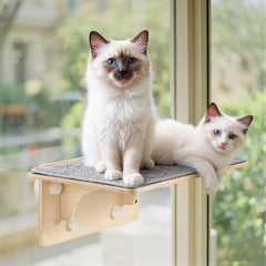 Pecute 2in1 cat window perch in solid wood for safe lounging by the view