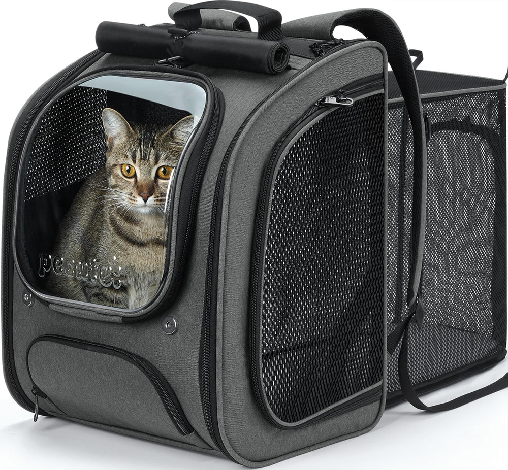 Pecute cat backpack bubble front view showing expandable space for comfortable movement.