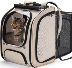 Pecute cat backpack bubble front view, roomy chamber for comfortable travel.