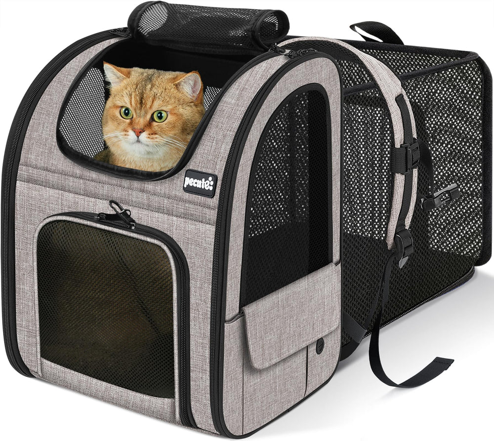 Pecute cat backpack carrier back view shows expandable space for comfort on the go.