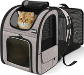 Pecute cat backpack carrier back view shows expandable space for comfort on the go.