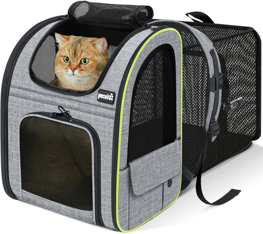 Pecute cat backpack expandable back panel for extra space during travel.