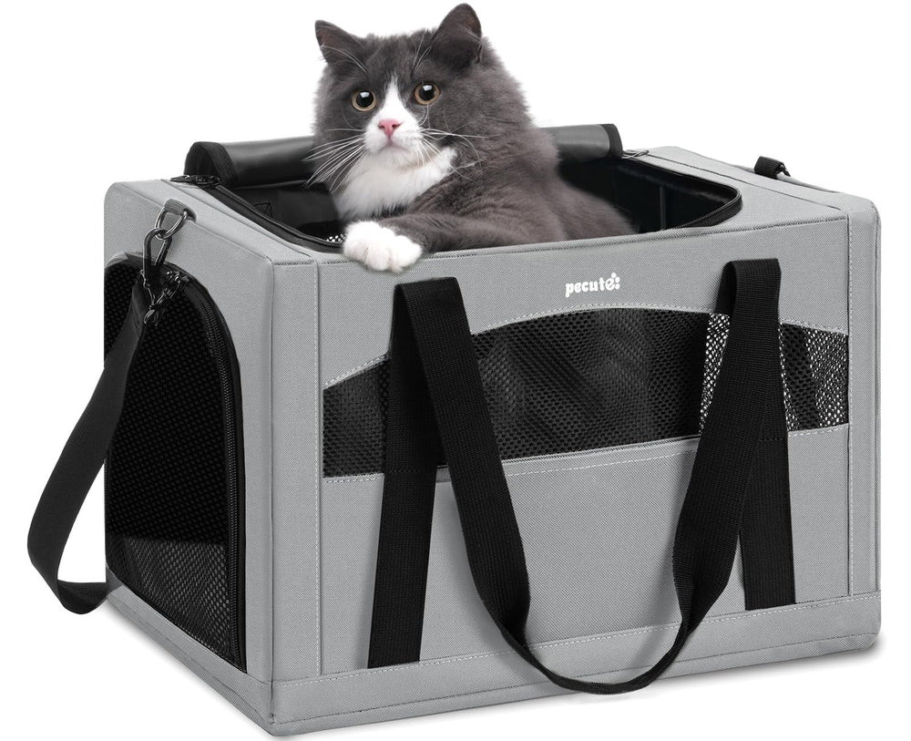 Pecute cat carrier with stable frame for steady rides and secure travel.
