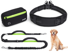 Pecute waist leash with detachable pouch for hands-free dog walking.