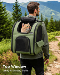 Pecute carrier with four-entry design for easy loading and pet viewing.