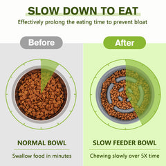 Pecute slow feeder bowl water-side view with stainless water bowl