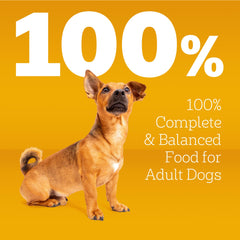 Pedigree Chicken and Steak dry food bag shows flavor choice for dogs