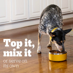 Pedigree Chopped Ground Dinner topper on kibble adds flavor and moisture.