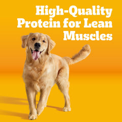 Pedigree Grilled Steak and Vegetable kibble closeup showing tasty nutrition