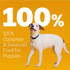 Pedigree Puppy Chopped Ground Dinner as a topper on dry kibble for variety.