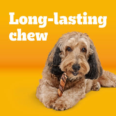 Pedigree Twisty Chews twist-design close-up showing dual rope chew