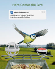 PEEIPM Solar-powered Bird Feeder Outdoor ensures eco-friendly, dependable operation.