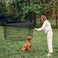 Peekaboo dog fence eight-panel setup with no tools needed for quick use