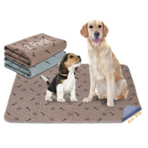 Peepeego 2-pack 36x36 pads in package, ready for training and protection.