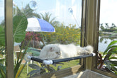 PEFUNY cat window hammock with strong suction for secure sunbathing indoors