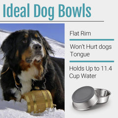 Peggy11 stainless steel bowl with BPA-free silicone bottom for safe meals.