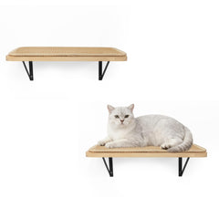 PELUMOZ cat wall shelves with scratching mat for lounging.