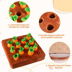 Penitue Snuffle mat and carrot toys laid out for engaging brain-stimulating play.
