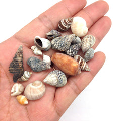PEPPERLONELY seashells mix, 8 oz bag, ideal for resin art and displays.