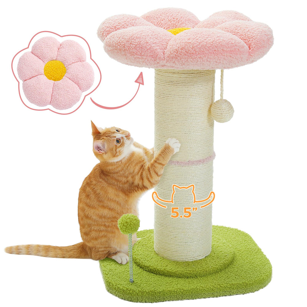 PEQULTI Flower Scratching Post bed provides a cozy resting perch for indoor cats.