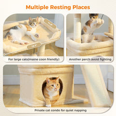 PEQULTI small cat tree private condo provides a cozy hideaway for indoor cats