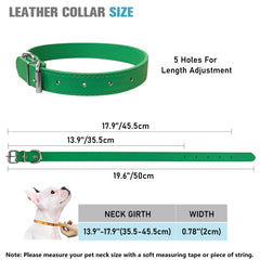 Bright color collar set with metal D-ring for tags and identification