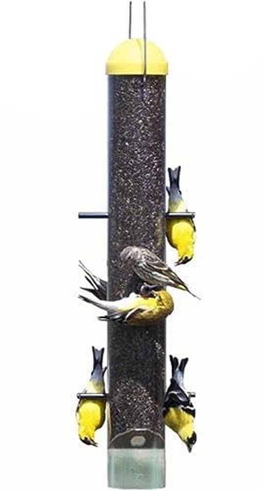 Perky-Pet 399 upside-down thistle feeder top view showing multiple ports for goldfinches