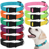Perthlin 9-piece dog collar set in nine colors for versatile daily wear