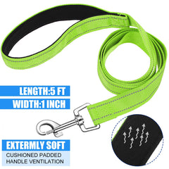 Perthlin heavy-duty nylon leash with swivel clasp for tangle-free dog movement.
