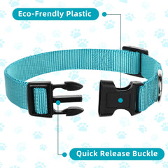 Perthlin quick-release buckle collar enables easy on and off