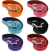 Perthlin 6-piece leash set with padded handles for comfortable control.