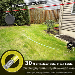 Pestairs 30ft leash extended in yard for roam
