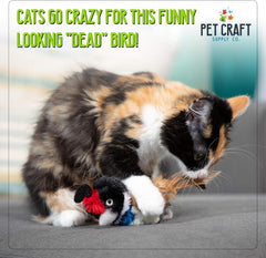 Pet Craft Supply Quirky Quail toy highlights feathers for fluttery, soft play.