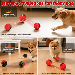 Pet Deluxe three modes for all dogs including intense jump gentle jump and rolling