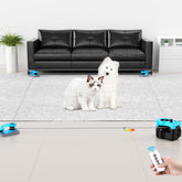 Pet Deluxe interactive cat toy mouse chase in action for indoor cats