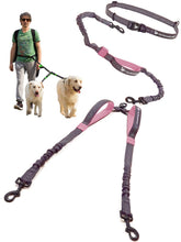 Pet Dreamland Exquisite hands-free dual dog leash for two-dogs walk, hands-free control.